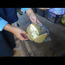 Eine Durian wurde für uns geschlachtet